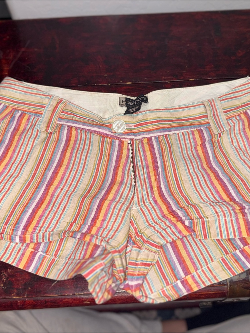 Passport Multicolor Striped Women’s Jean Shorts